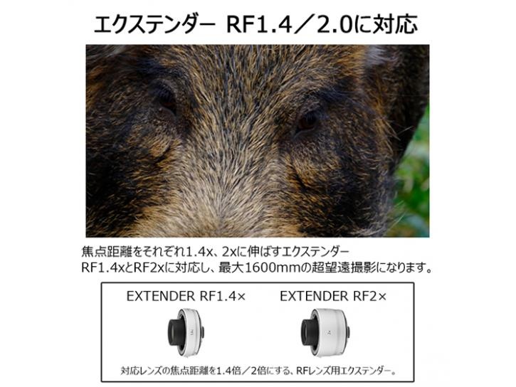 RFレンズ RF800mm F11 IS STM 新品