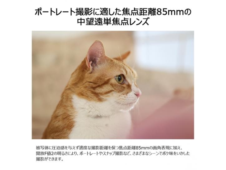 RFレンズ RF85mm F2 マクロ IS STM 新品