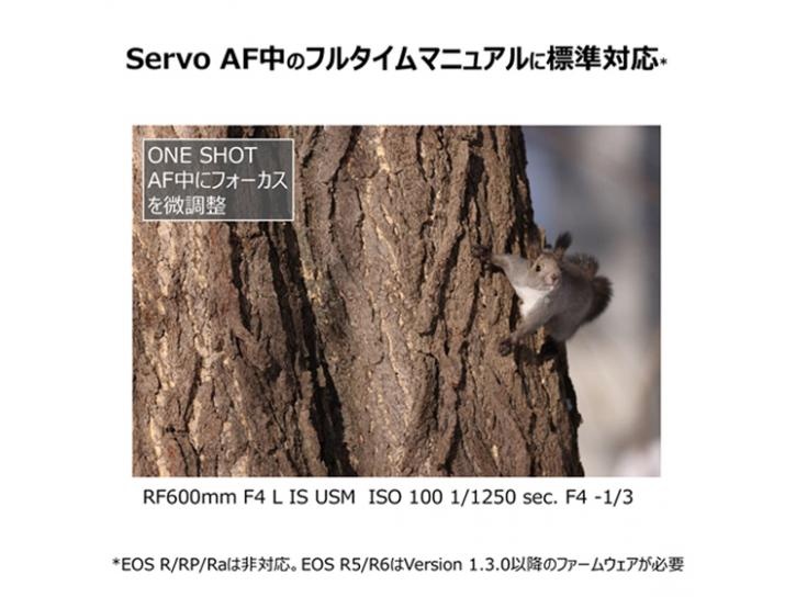 RFレンズ RF600mm F4 L IS USM 新品   代引き不可