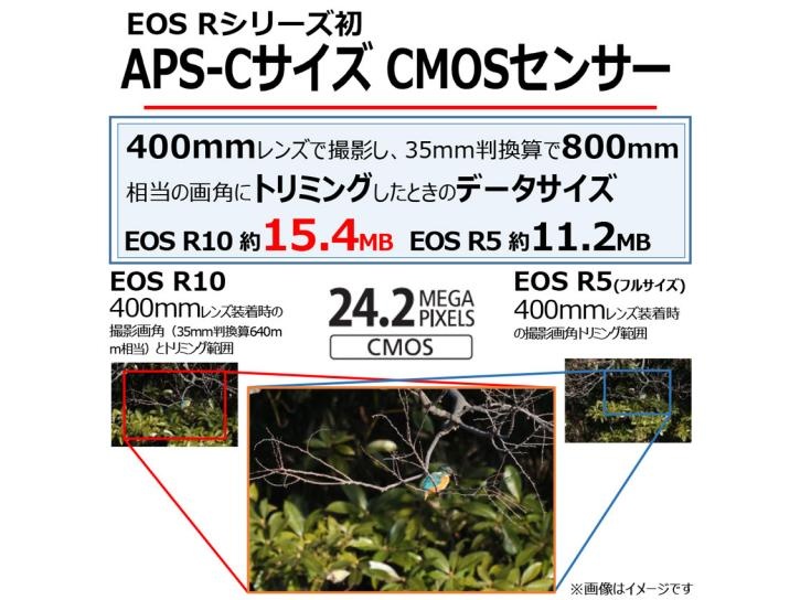EOS R10 RF-S18-150 IS STM レンズキット 新品    