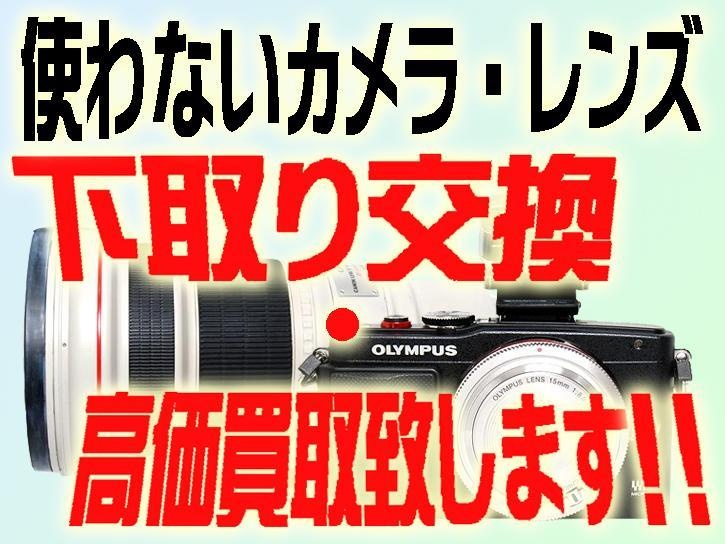スポットメーター F