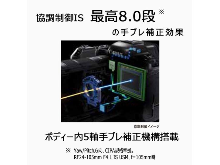 EOS R6 Mark IIボディー 新品                                                 キヤノン 夏のキャッシュバック2025対象商品