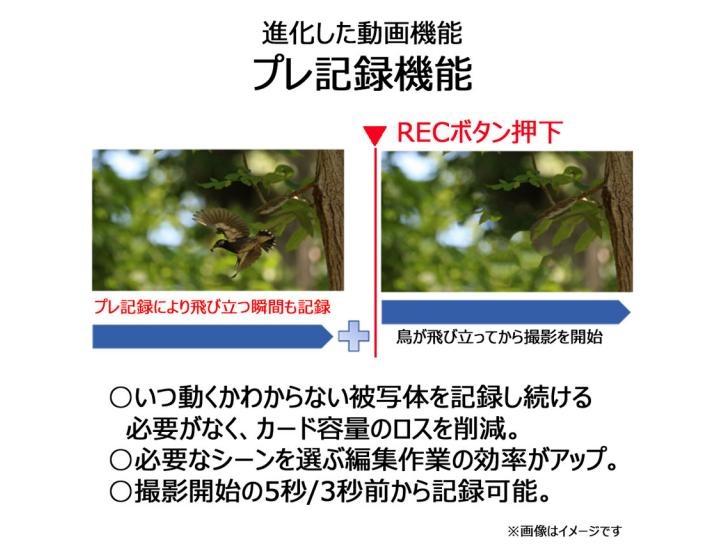 EOS R6 Mark II・RF24-105 IS STM レンズキット 新品                                    キヤノン 夏のキャッシュバック2025対象商品