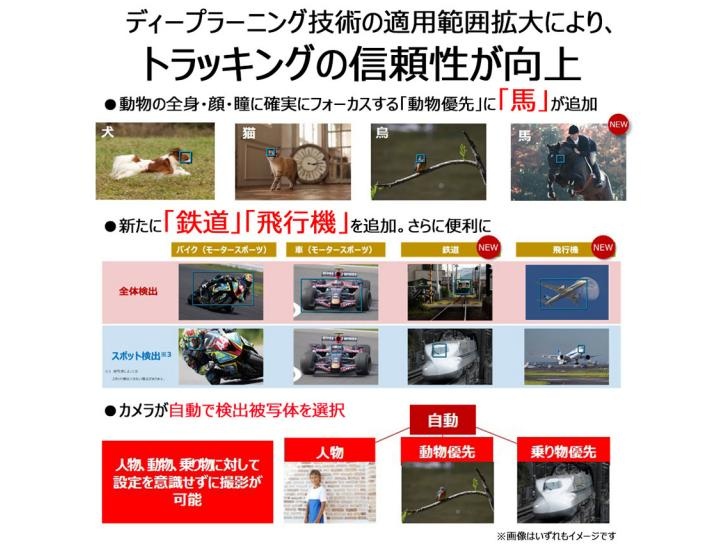 EOS R6 Mark II・RF24-105 IS STM レンズキット 新品                                    キヤノン 夏のキャッシュバック2025対象商品