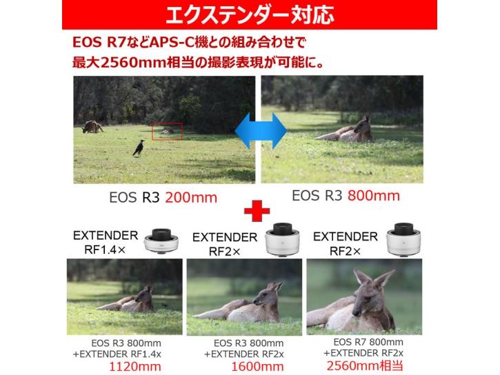 RF200-800mm F6.3-9 IS USM 新品