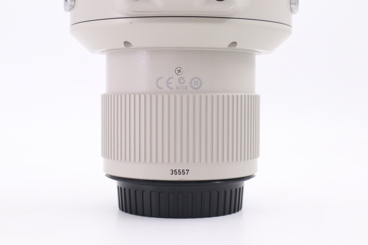 Canon EF 500mm F/4 L IS USM