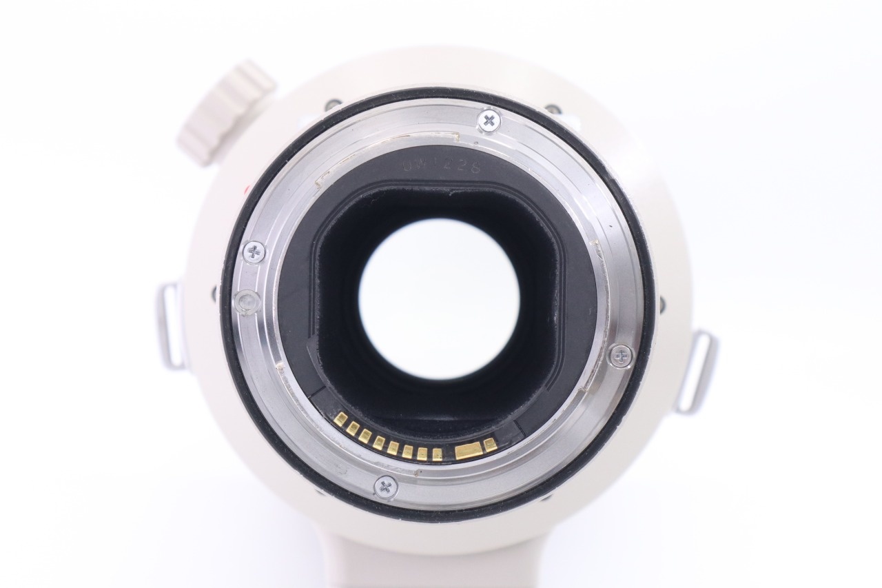 Canon EF 500mm F/4 L IS USM