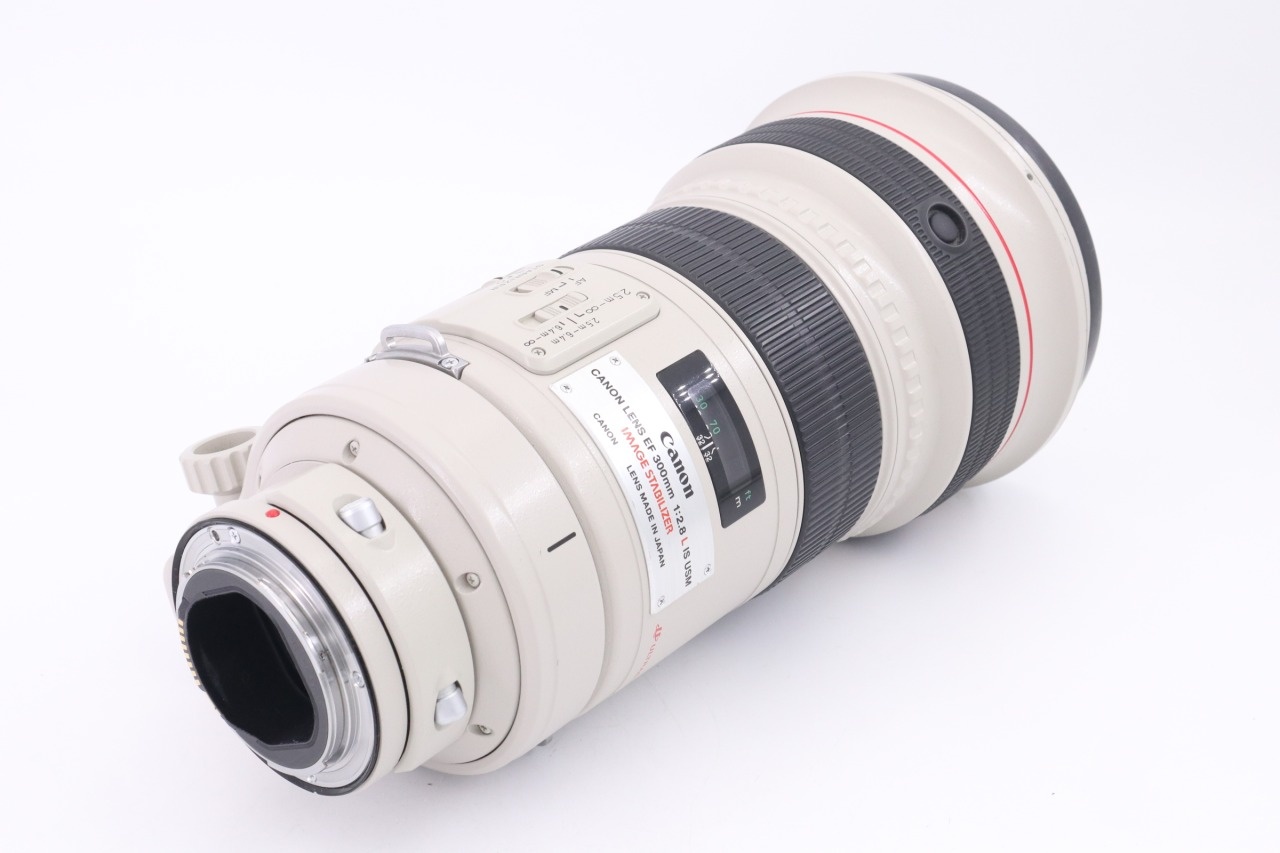 Canon EF 300mm F/2.8 L IS USM