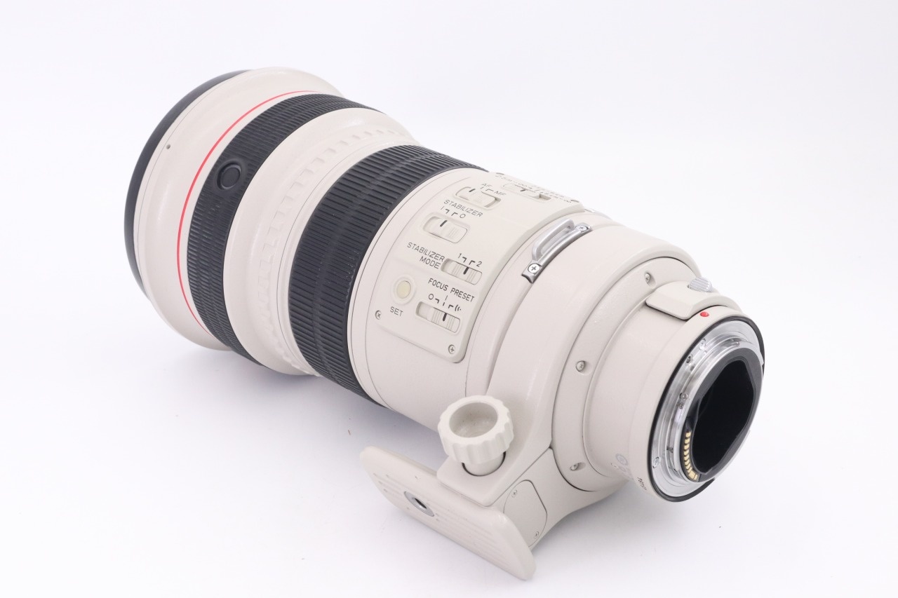Canon EF 300mm F/2.8 L IS USM