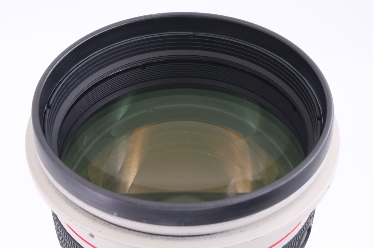 Canon EF 300mm F/2.8 L IS USM