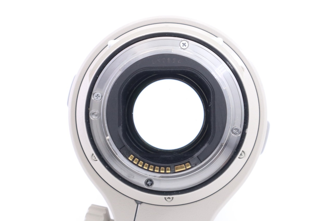 Canon EF 300mm F/2.8 L IS USM