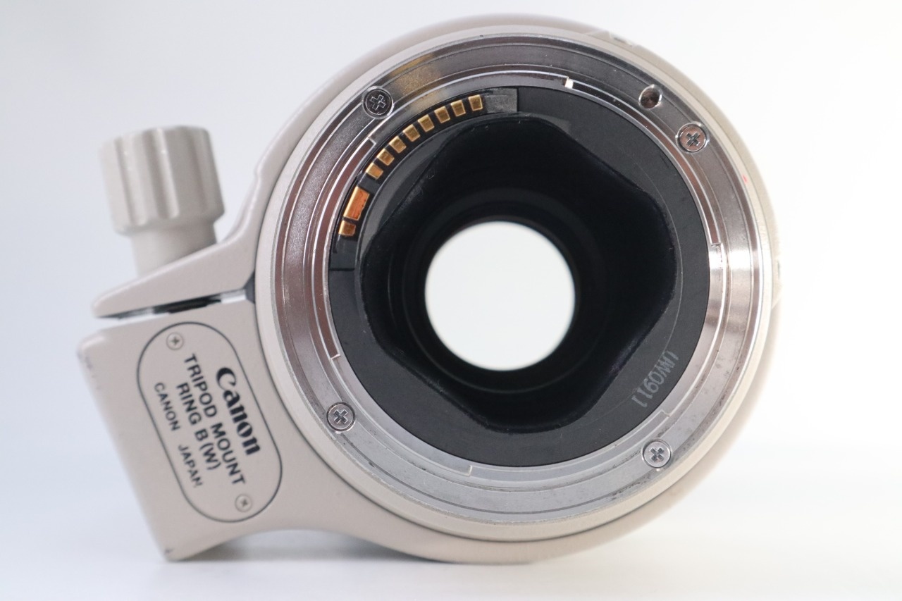 EF 300mm F/4 L IS USM AF