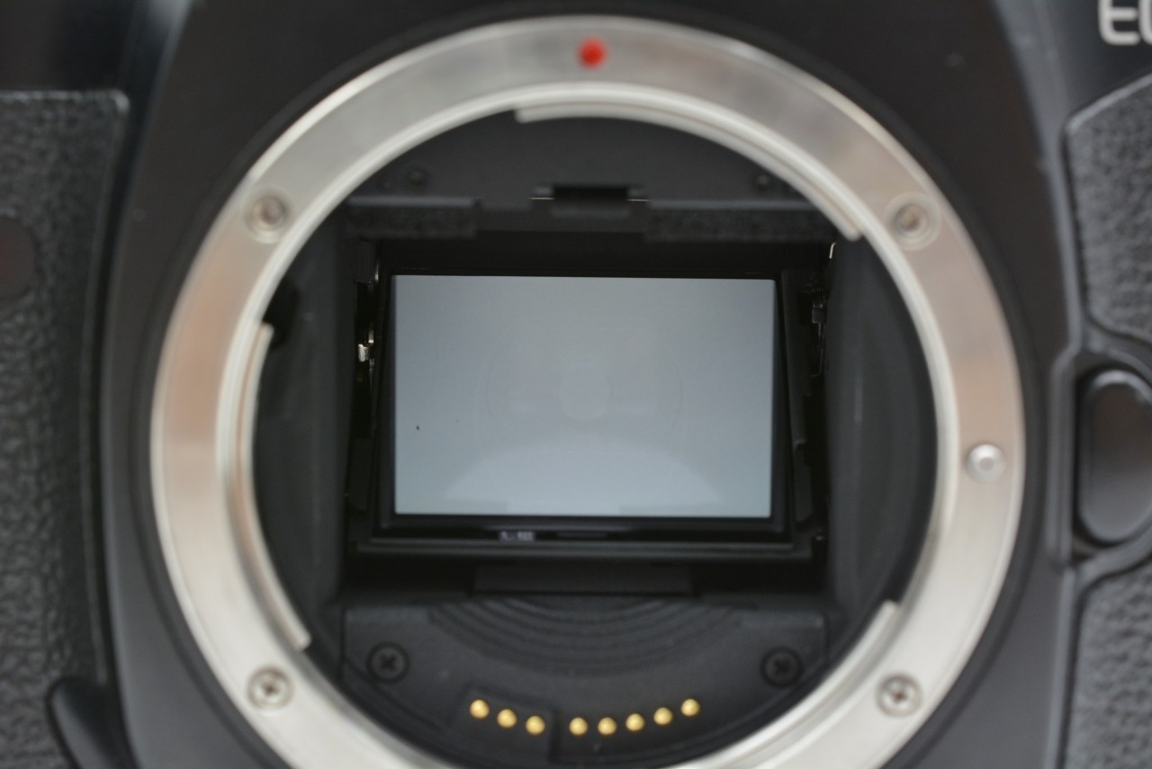 EOS-1 V ブラックボディ AF