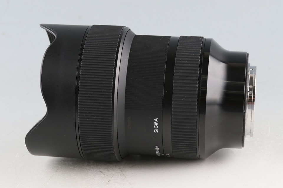 SIGMA Art 14-24mm F/2.8 DG DN Lens for Sony E #59132E6