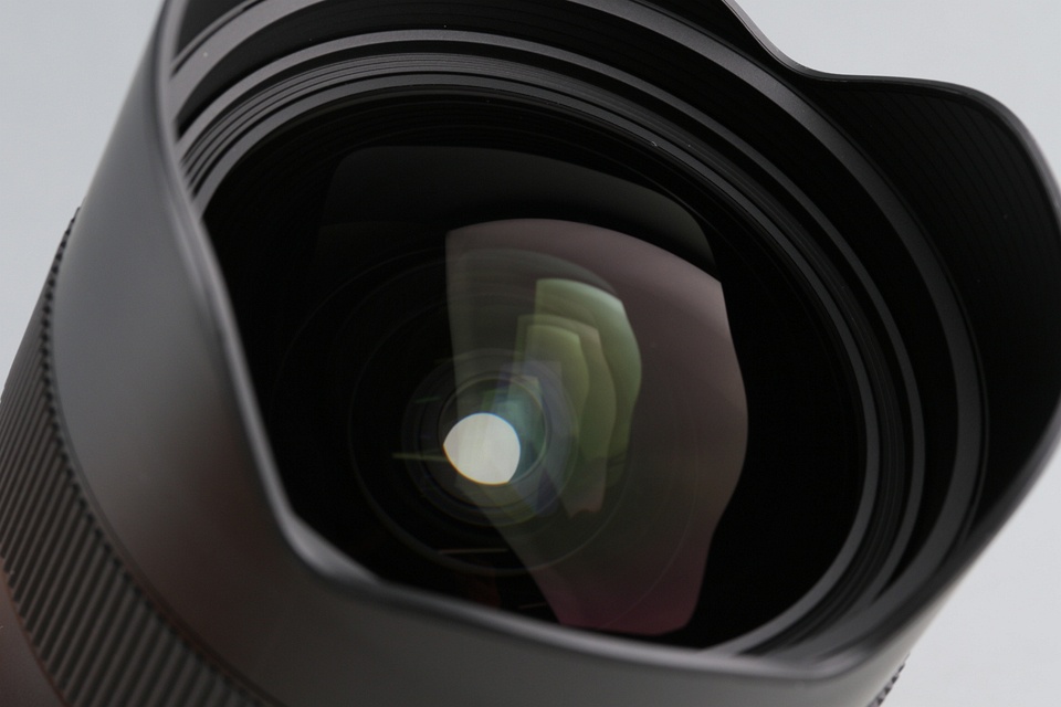 Sigma Art 14-24mm F/2.8 DG DN Lens for Sony E #59139L6