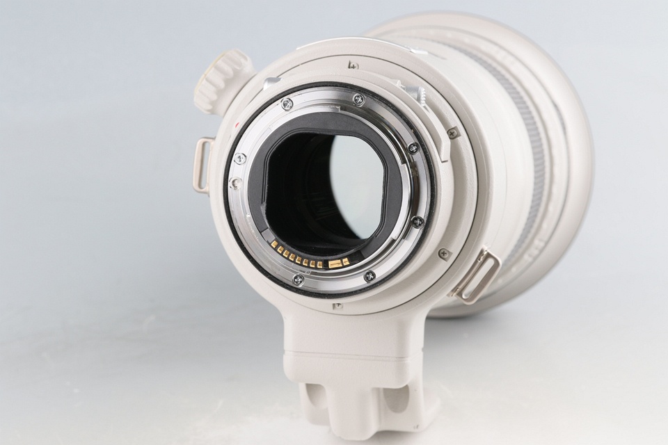 Canon EF 300mm F/2.8 L IS II USM Lens #59171L10