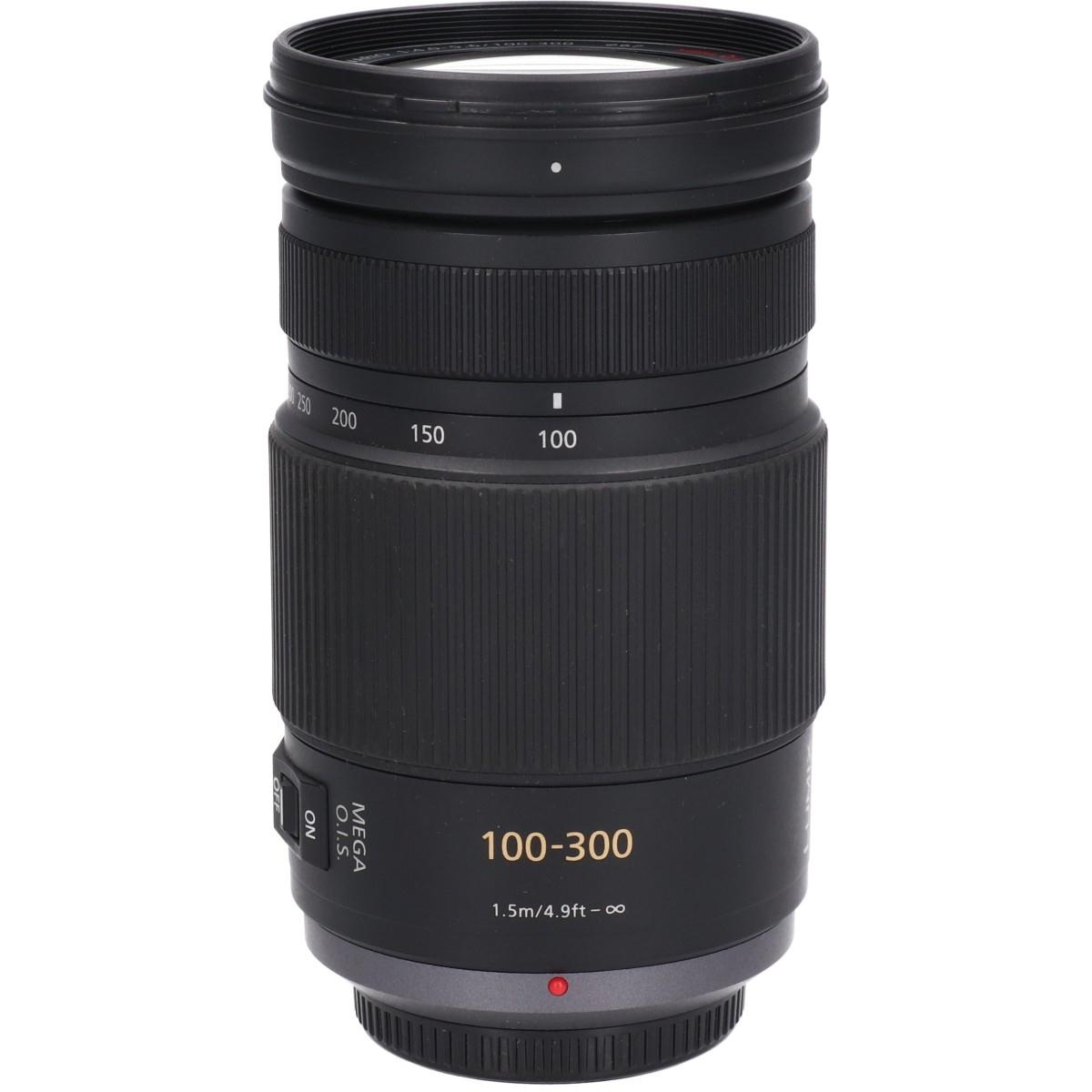 G100-300/4-5.6MEGA OIS