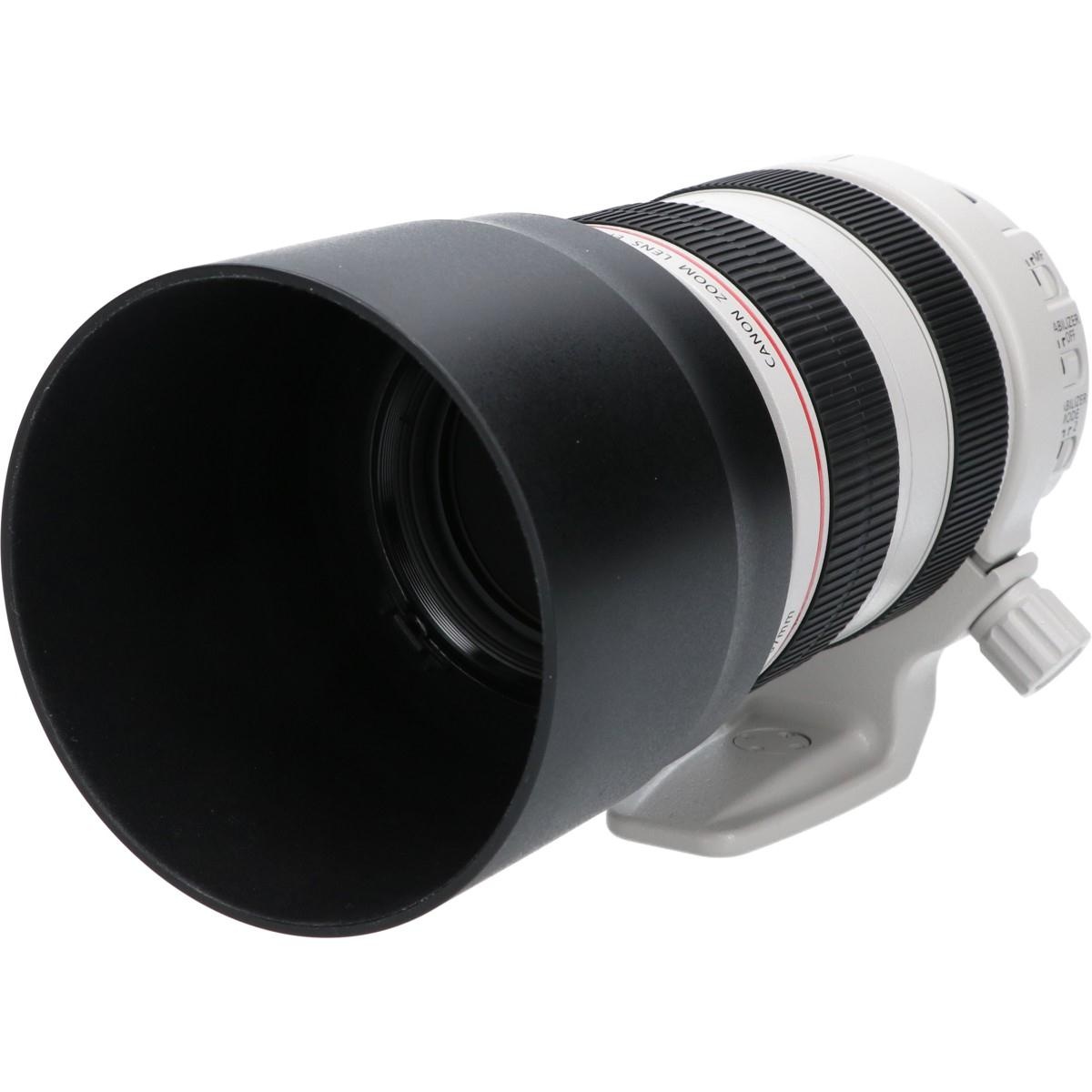 EF70-300/4-5.6L IS USM