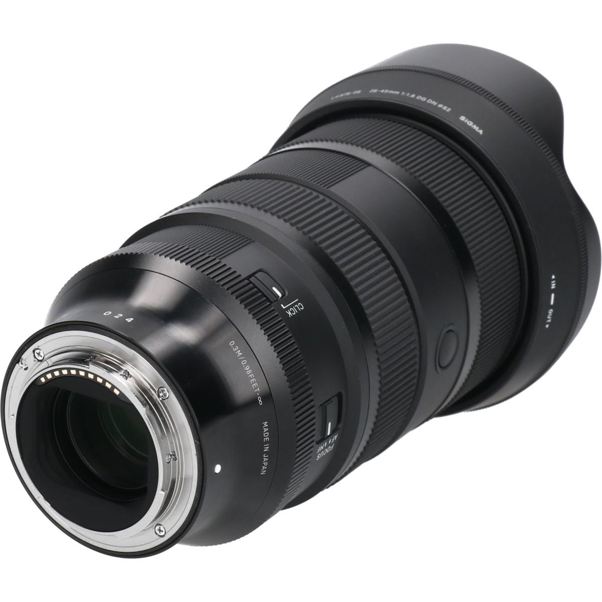 ソニーE(A)28-45/1.8DG DN