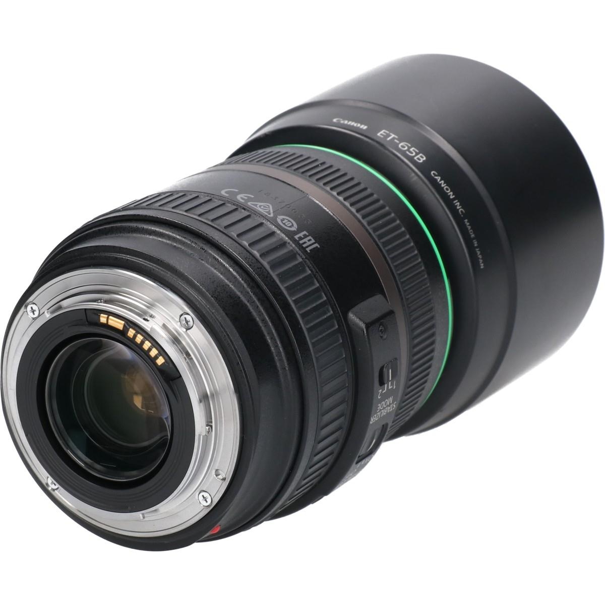 EF70-300/4.5-5.6DO IS USM