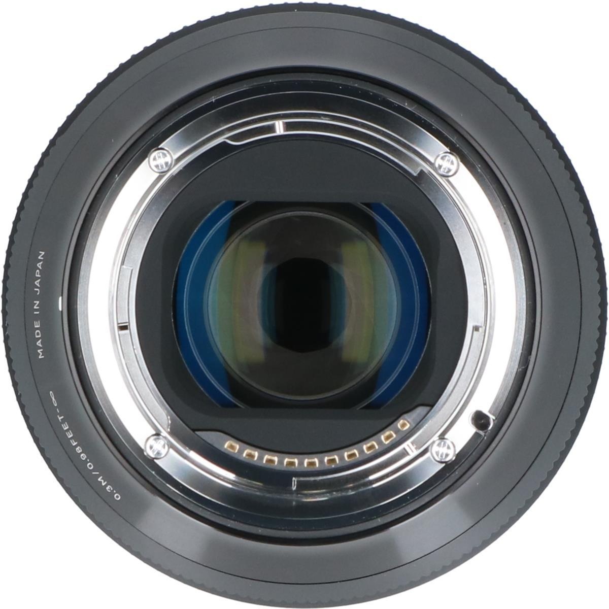 ソニーE(A)28-45/1.8DG DN