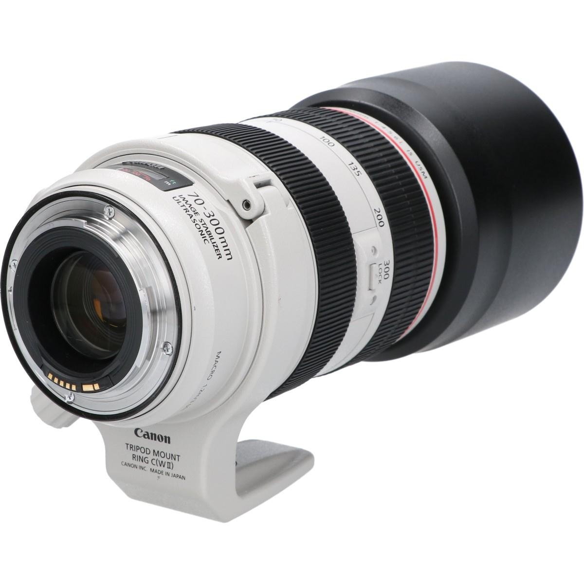 EF70-300/4-5.6L IS USM