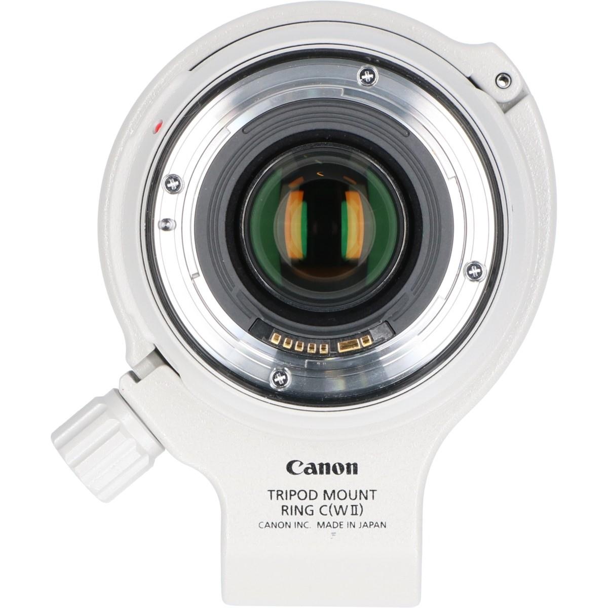 EF70-300/4-5.6L IS USM