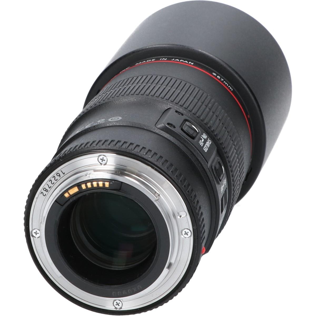 EF100/2.8L MACRO IS USM