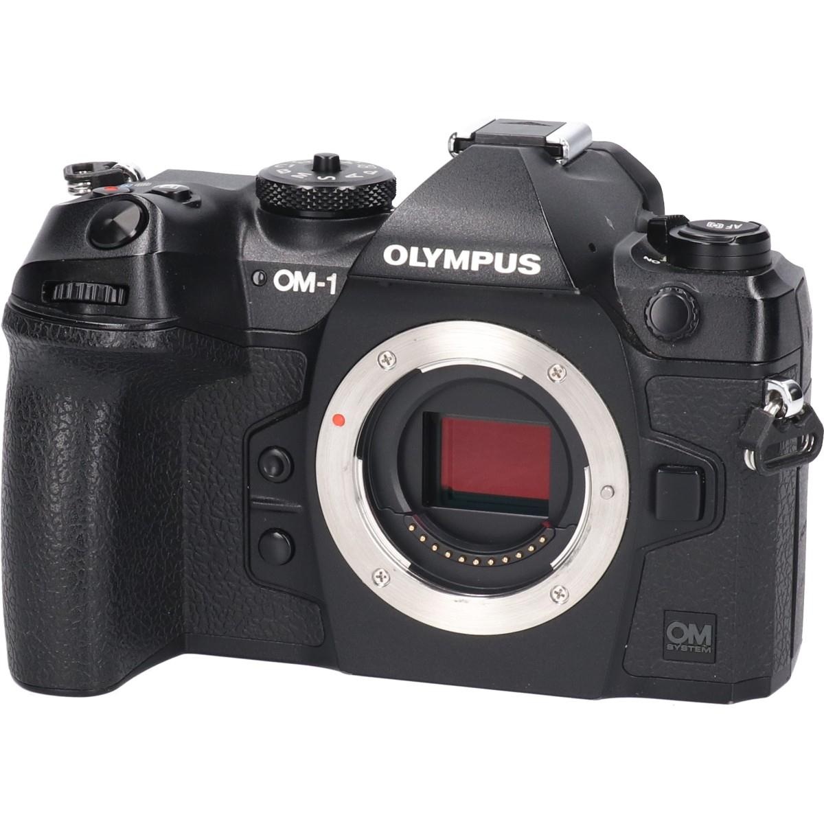 OM SYSTEM OM-1