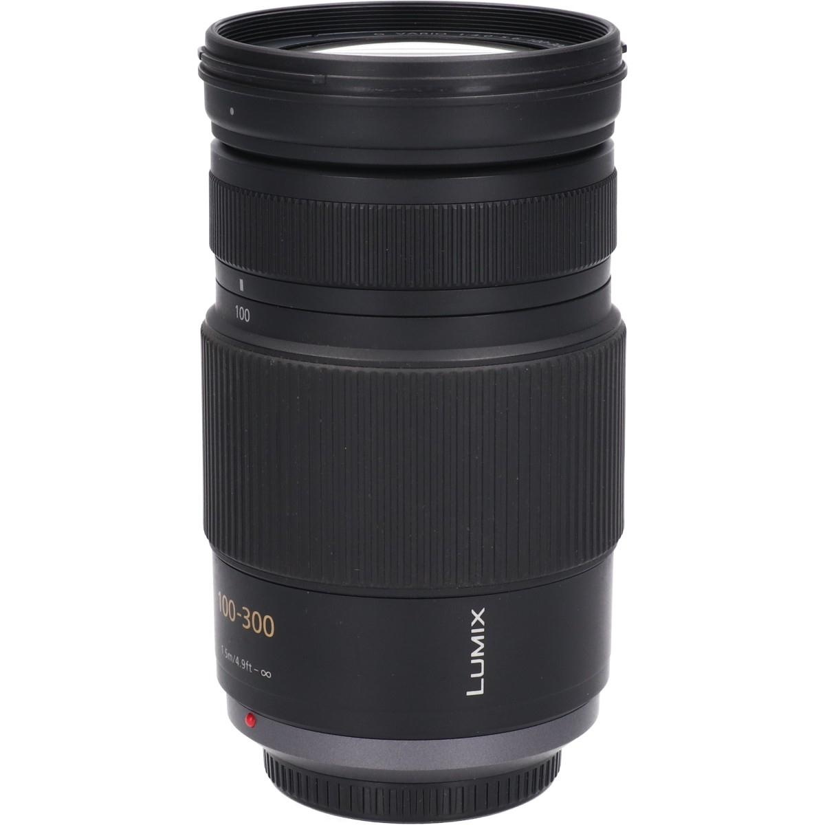 G100-300/4-5.6MEGA OIS