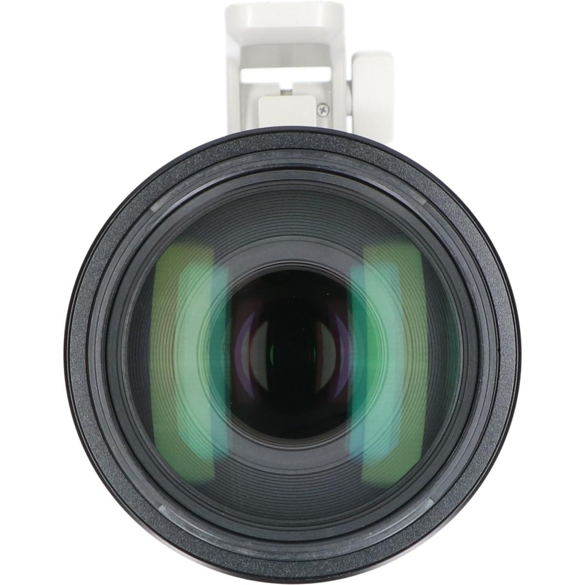 FE100-400/4.5-5.6GM OSS