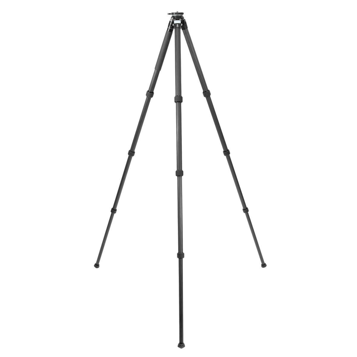 TA284CLEJ