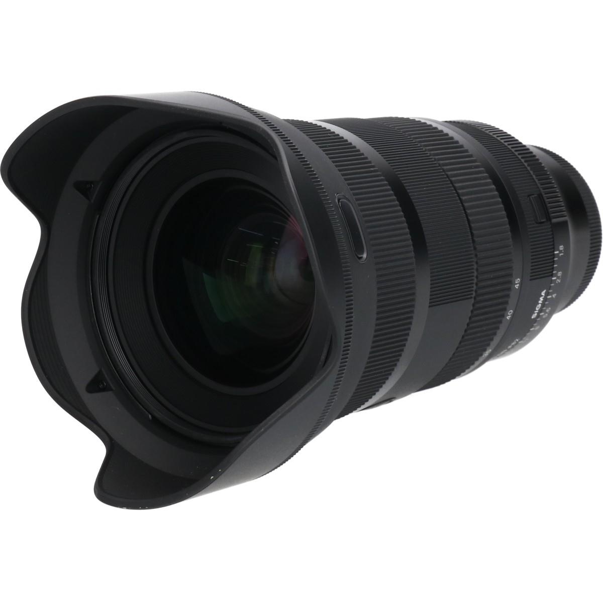 ソニーE(A)28-45/1.8DG DN