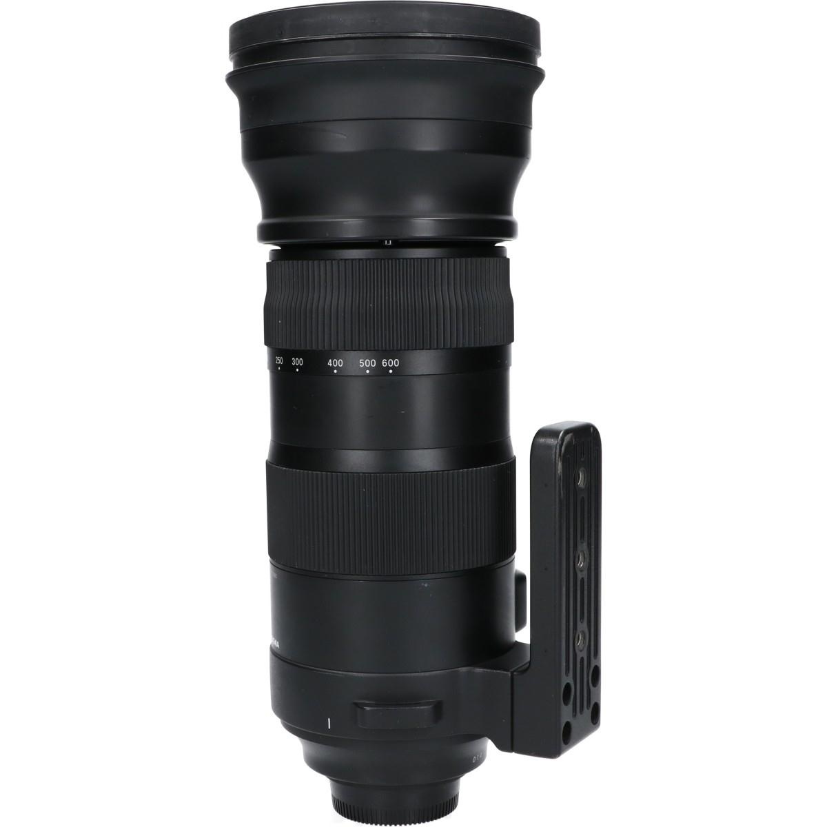ニコン(S)150-600/5-6.3DG OS
