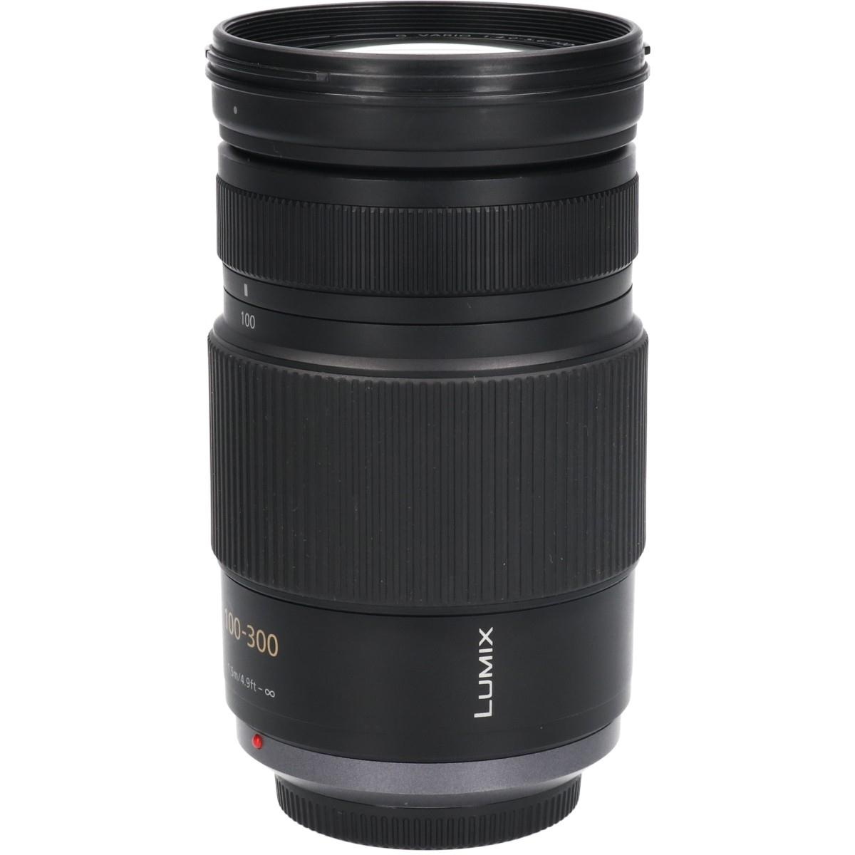 G100-300/4-5.6MEGA OIS