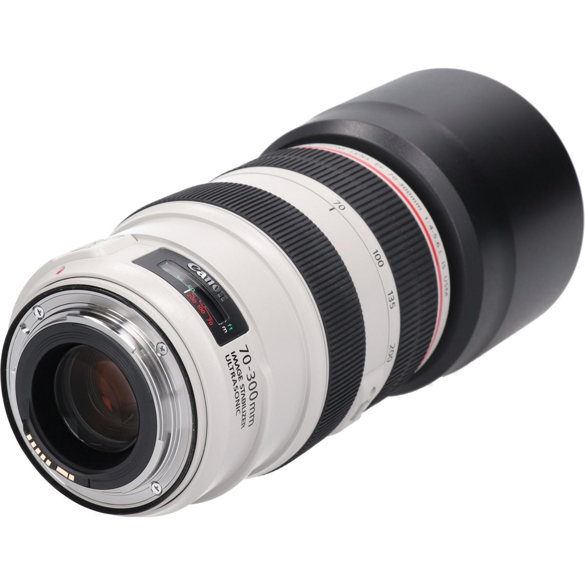 EF70-300/4-5.6L IS USM