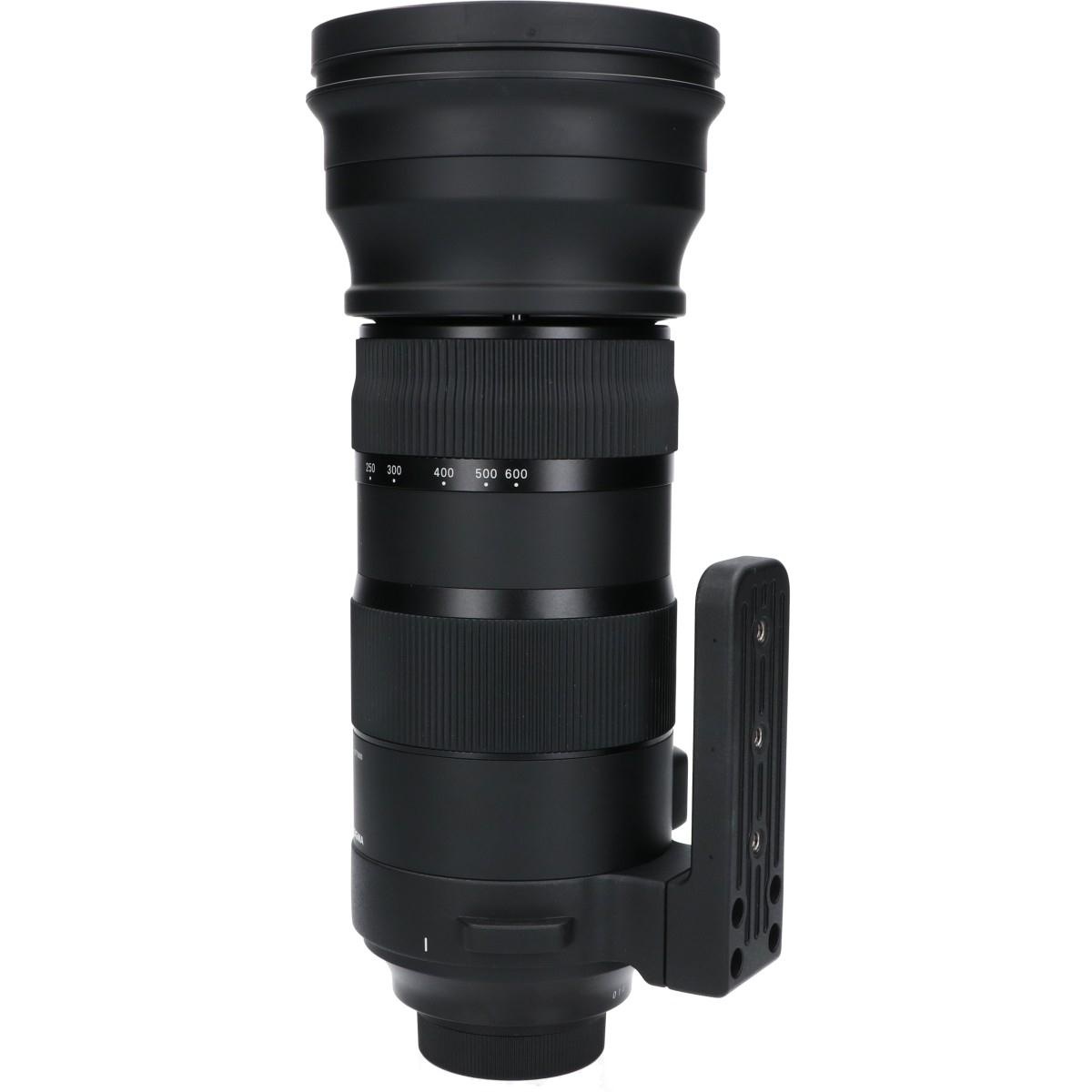 ニコン(S)150-600/5-6.3DG OS