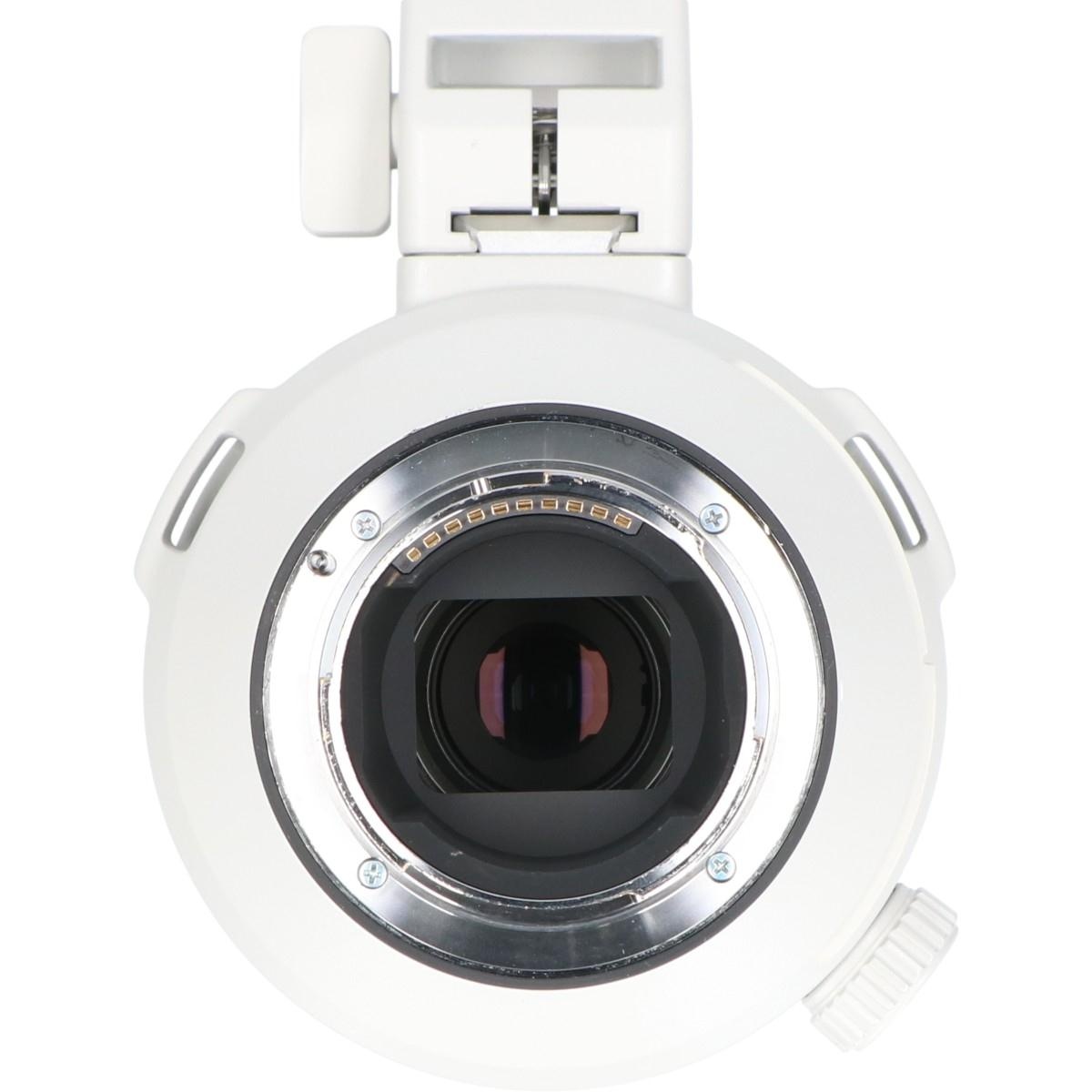 FE200-600/5.6-6.3G OSS