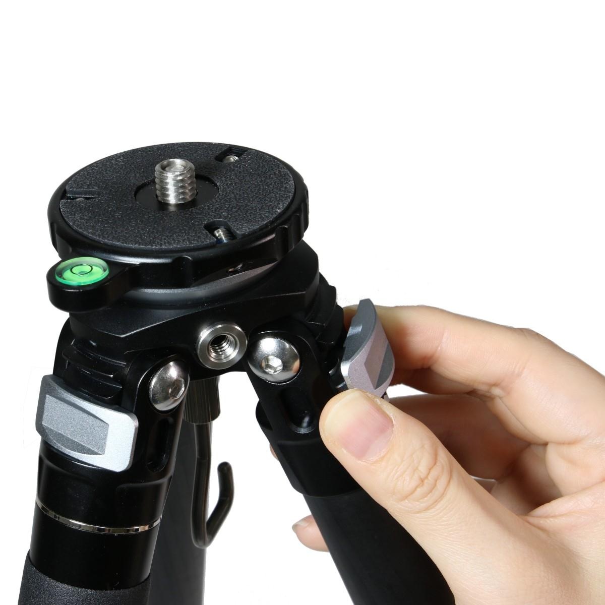 TA284CLEJ