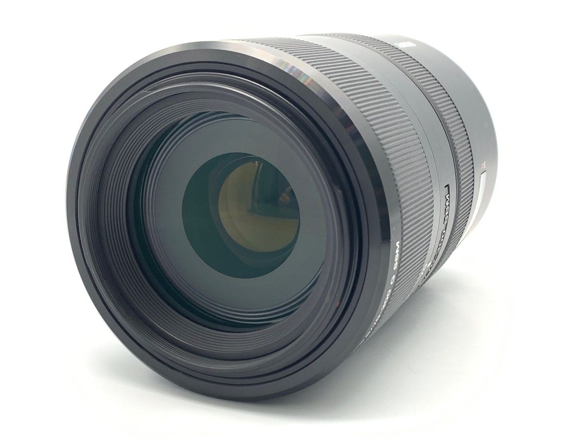 ソニー 70-300mm F4.5-5.6 G SSM [SAL70300G]