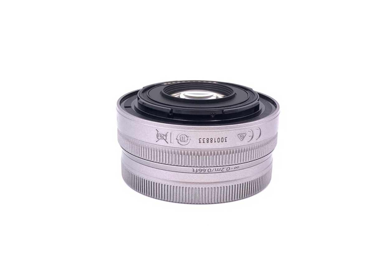 ニコン NIKKOR Z DX 16-50mm f/3.5-6.3 VR シルバー