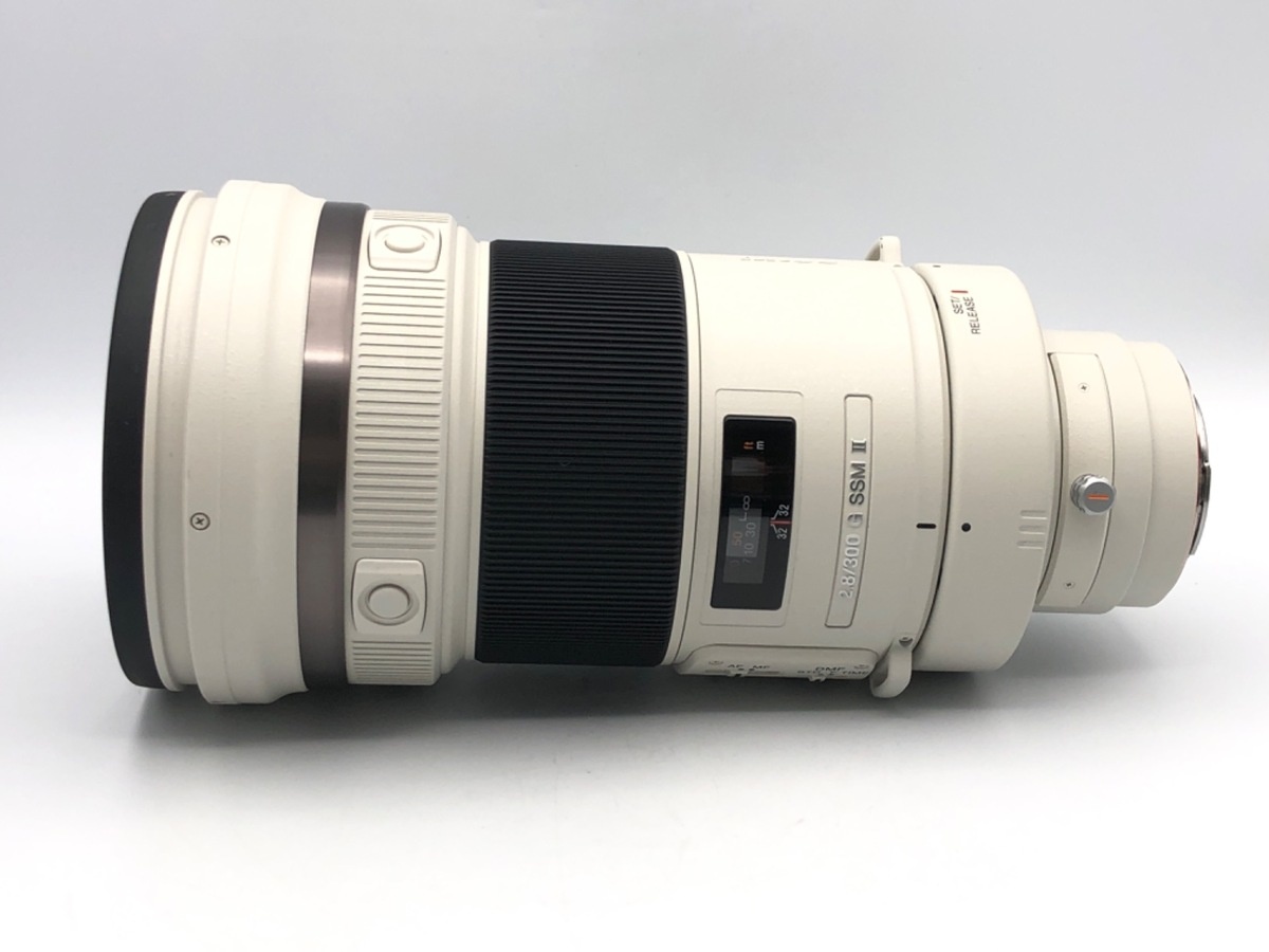 ソニー 300mm F2.8 G SSM II  [SAL300F28G2]