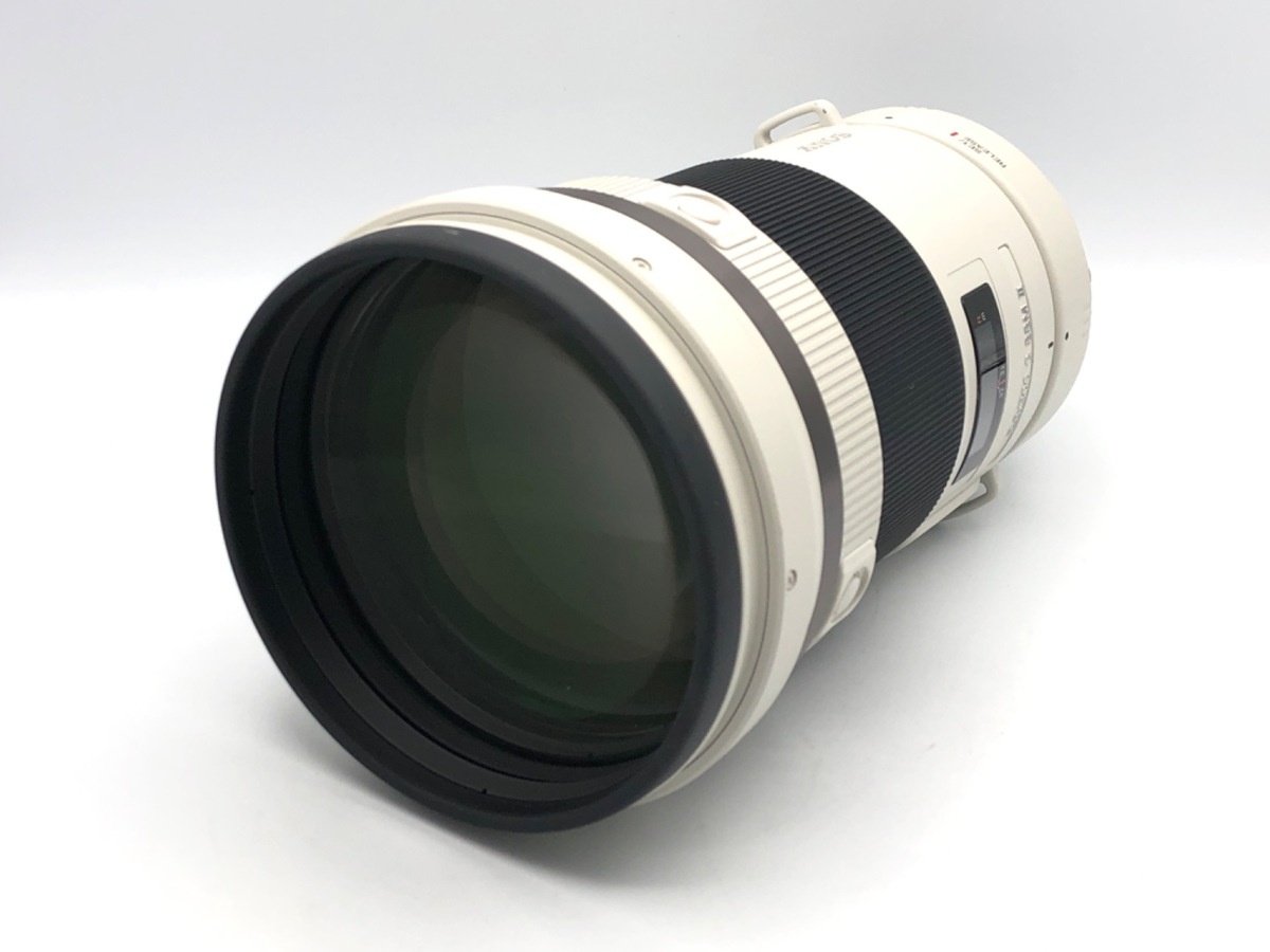 ソニー 300mm F2.8 G SSM II  [SAL300F28G2]