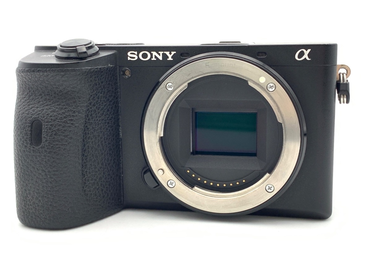 ソニー α6600 ボディ [ILCE-6600]