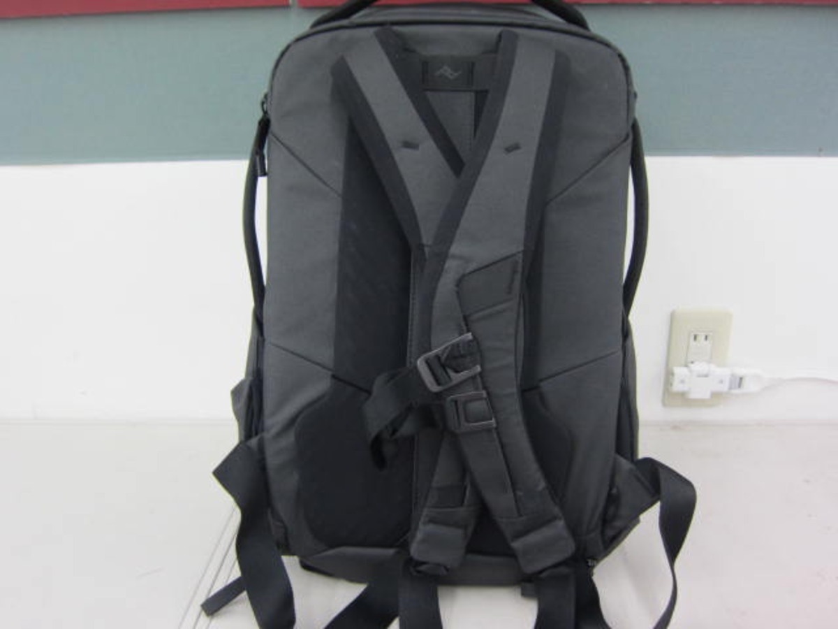 ピークデザイン BEDBZ-20-BK-2 エブリデイカメラバックパック ジップ 20L ブラック