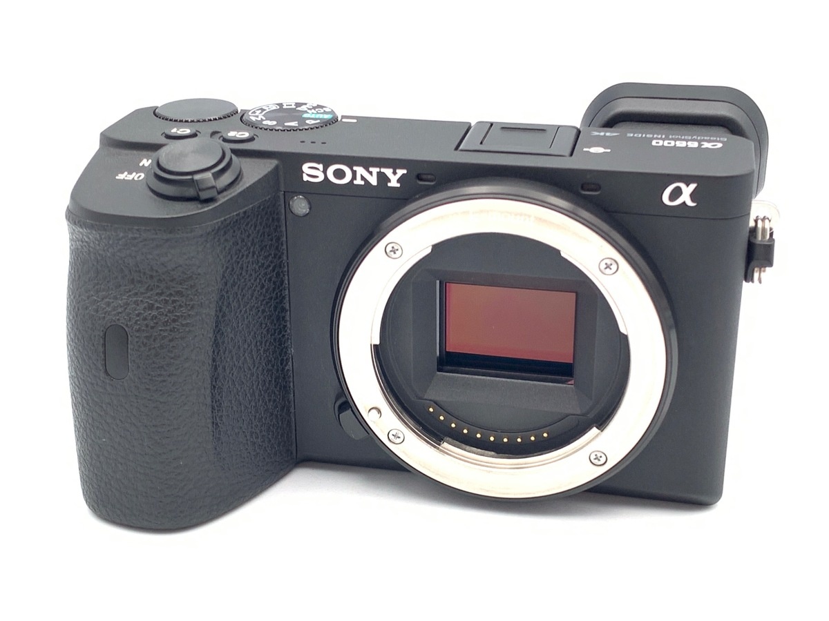 ソニー α6600 ボディ [ILCE-6600]