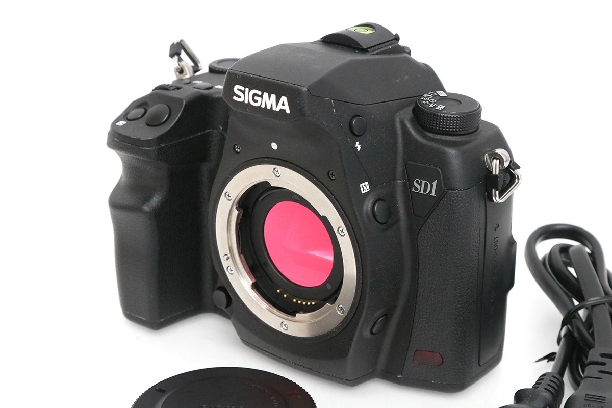 SD1 Merrill ボディ CA01-M4298-3U5A-ψ
