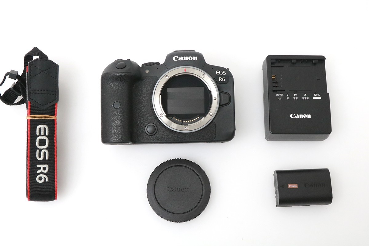 EOS R6 ボディ CA01-M3989-2Q2A