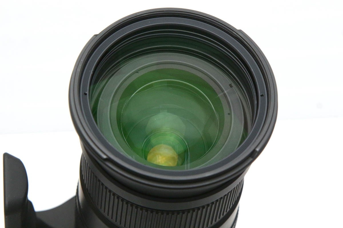 APO 50-500mm F4.5-6.3 DG OS HSM (キヤノン用) CA01-R1319-2M4
