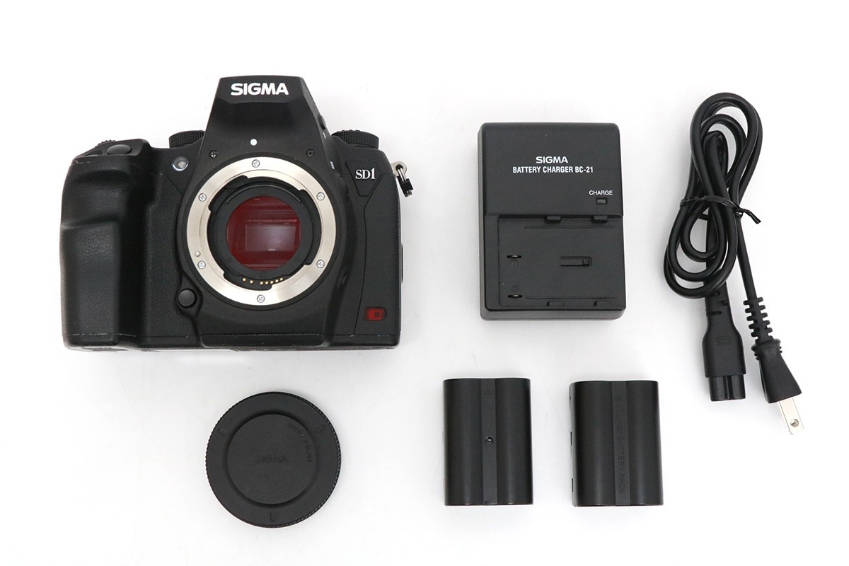 SD1 Merrill ボディ CA01-M4298-3U5A-ψ